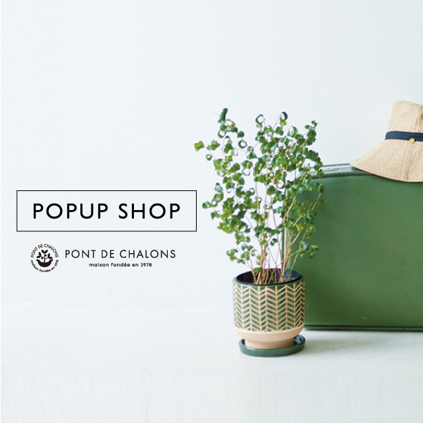 /img/mv_POPUPSHOP_thum.jpg